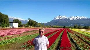 Juan Carlos Ledesma y su familia están al frente del emprendimiento Tulipanes Patagonia