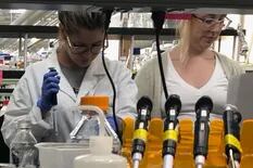 Argentinos están desarrollando un kit para detección rápida del coronavirus