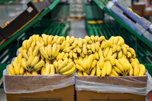 El Gobierno estableció nuevos controles para la importación de bananas