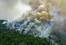 Incendios en Brasil: se triplicaron en el Pantanal y aumentaron en el Amazonas