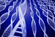 El primer genoma completo de un ser humano ofrece información inédita y sorprendente