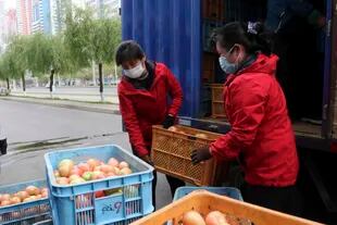 Empleados de una verdulería en la calle Mirae Scientists llevan tomates para suministrar a los residentes que se quedan en casa mientras el Estado aumenta las medidas para detener la propagación de enfermedades en Pyongyang, Corea del Norte, el lunes 16 de mayo de 2022. 