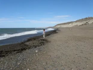 Al sur del balneario Playa Unión, Playa Magagna, prácticamente desconocida