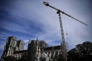Retiran los andamio de la catedral de Notre Dame