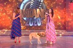 Cantando 2020: Ruso, el perro de Claribel Medina, se adueñó del escenario