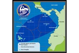 El Corredor Marino del Pacífico Tropical Oriental es una de las áreas de conservación de vida marina más grande del planeta