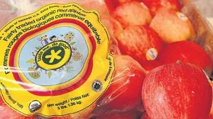 Interrupción produce arándanos, manzanas, peras y verduras para exportar