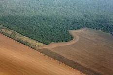 El posible triunfo de Bolsonaro también pone en juego el futuro del Amazonas