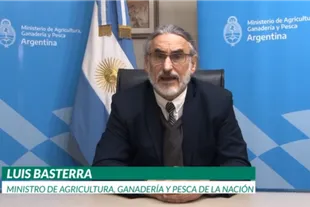 El ministro de Agricultura, Ganadería y Pesca, Luis Basterra, durante la jornada virtual A Todo Trigo
