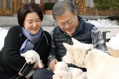 Corea del Sur: la insólita pelea entre mandatarios por los perros que les regaló Kim Jong-un