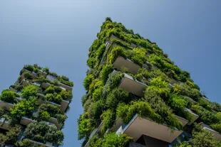 Edificios ecológicos en Milán con jardines en cada terraza que los convierten en un pulmón verde vertical