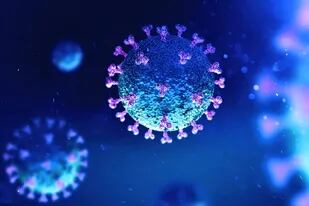Coronavirus: un estudio sugiere que el resfriado puede desalojarlo del organismo