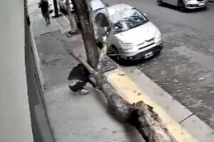 Habló la mujer a la que se le cayó un árbol en la cabeza en Rosario