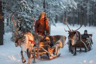 En Santa Claus Village es posible dar paseos en trineo, tirado por renos o por perros