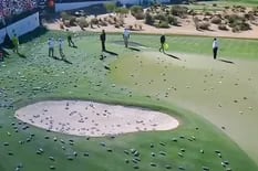 El hoyo de golf que desató la locura de 20.000 personas y una lluvia de latas de cerveza