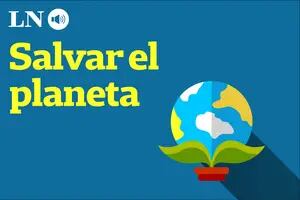 La regeneración del Gran Chaco americano: clave para combatir el cambio climático