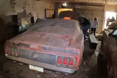 Encontraron un invaluable Mustang abandonado en una granja hace más de 40 años