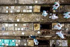En San Pablo exhuman viejas tumbas para hacer espacio a muertos por Covid