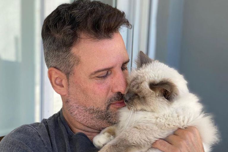 El duro momento de José María Listorti por la muerte de su gato: "Adiós Renzo"