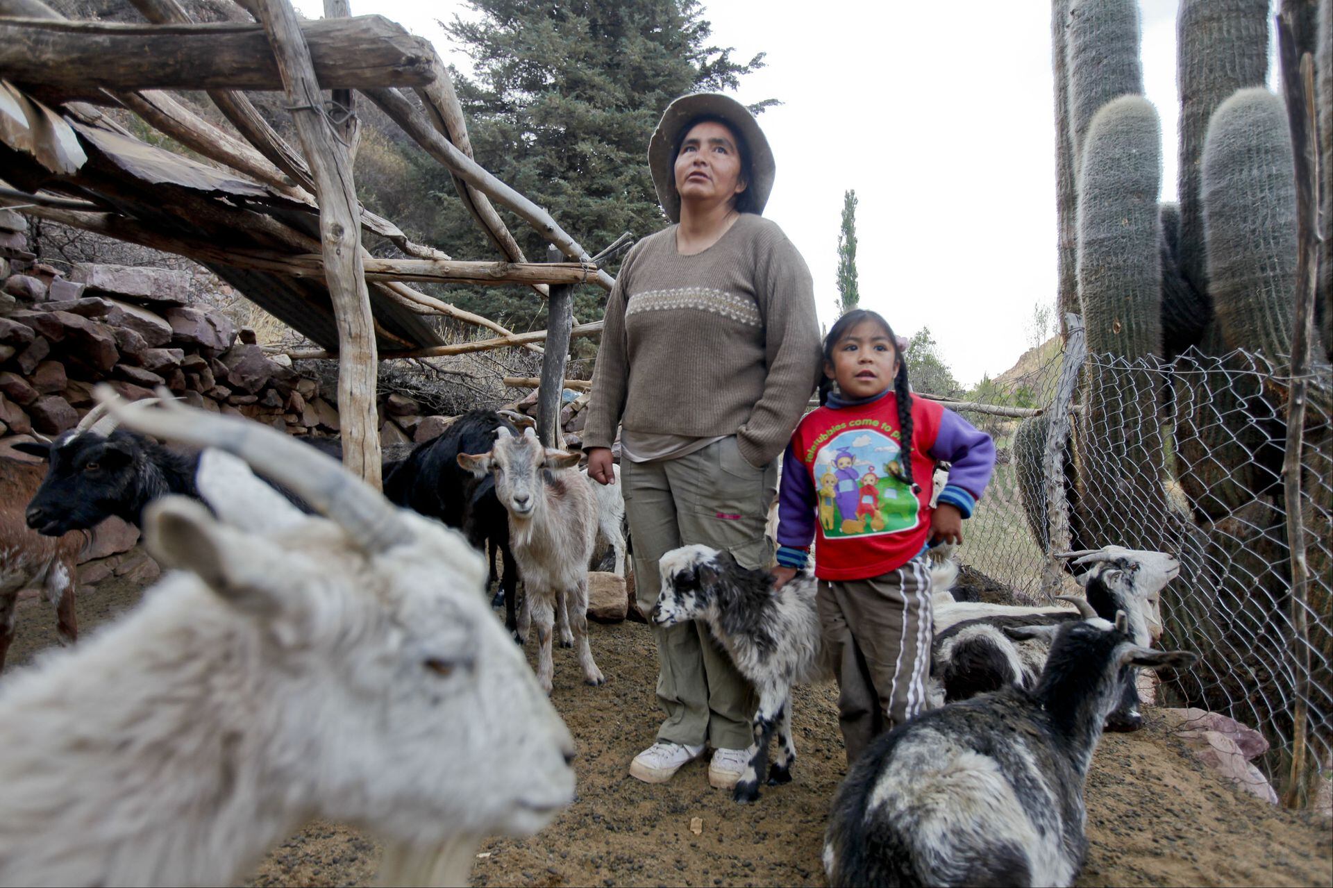 Clarita recibe turistas en su casa en la Quebrada de Humahuaca