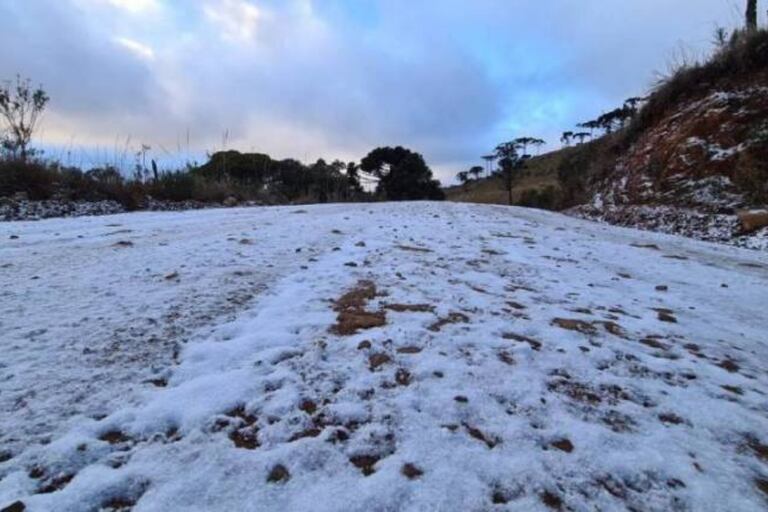 Las heladas en el estado de Minas Gerais, Brasil, dañaron más de 150.000 hectáreas de cultivos, en julio de 2021