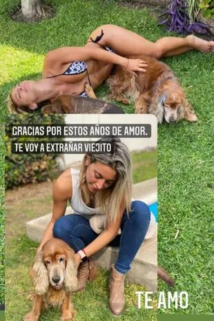 Sol Pérez mostró dos fotos con "Cañito", el perro de su familia