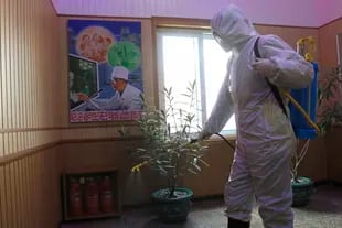 Un funcionario del Centro de Higiene y Antiepidemia del distrito de Phyongchon desinfecta el pasillo de un edificio en Pyongyang, Corea del Norte, el 5 de febrero de 2021.