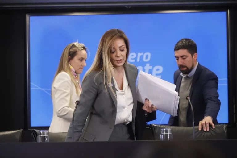 Anuncian detalles sobre las tarifas de luz y gas. Flavia Royón, secretaria de Energía