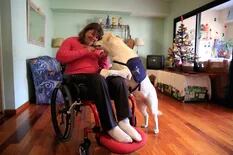 Es cuadripléjica y gracias a una perra de asistencia logró autonomía