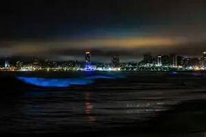 La increíble iluminación azul que en las noches logró el agua en las playas de Mar del Plata