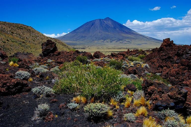 La Payunia es un gran territorio colmado de silenciosos volcanes que  dejaron increíbles geoformas