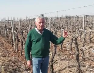 Desde los 16 años José María Llaver se dedica a la vitivinicultura. Hoy posee 34 hectáreas. También es integrante de la Asociación Argentina de Productores Autoconvocados (AAPA)