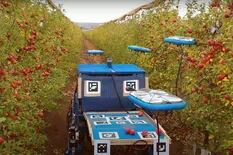 Así trabaja este robot autónomo cosechador de manzanas, naranjas y paltas