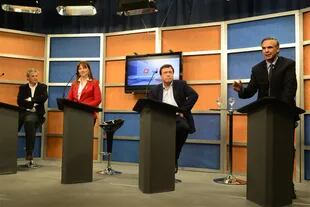 Massaccesi, Odarda, Weretilneck y Pichetto, durante el debate de candidatos a gobernador de Río Negro, en 2015