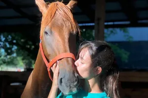Una vida nueva para los caballos que padecen trabajos forzados en condiciones de maltrato