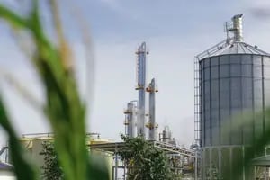 Ampliaron los cupos para el etanol en la nafta y un experto cuestiona varios aspectos
