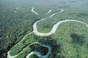Venden ilegalmente terrenos de la selva amazónica a través de Facebook