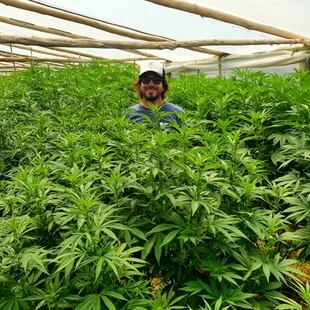 Garretón se dedica a la industria del cannabis desde 2019