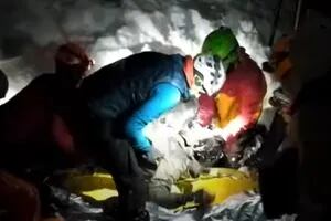 Un perro salvó a un esquiador enterrado bajo un metro y medio de nieve
