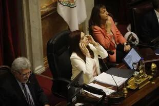 Cristina Kirchner, en el Senado, la semana pasada
