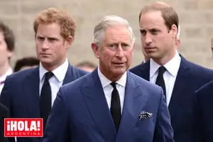 Frialdad, celos y dinero: la difícil relación del Rey con los príncipes William y Harry