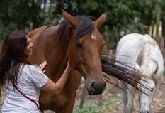 En qué consiste la experiencia de sanar heridas con caballos