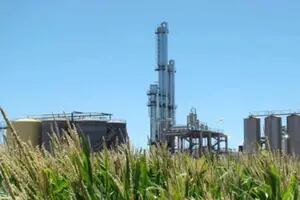 Estiman que harán falta inversiones por US$500 millones para usar más bioetanol en la nafta
