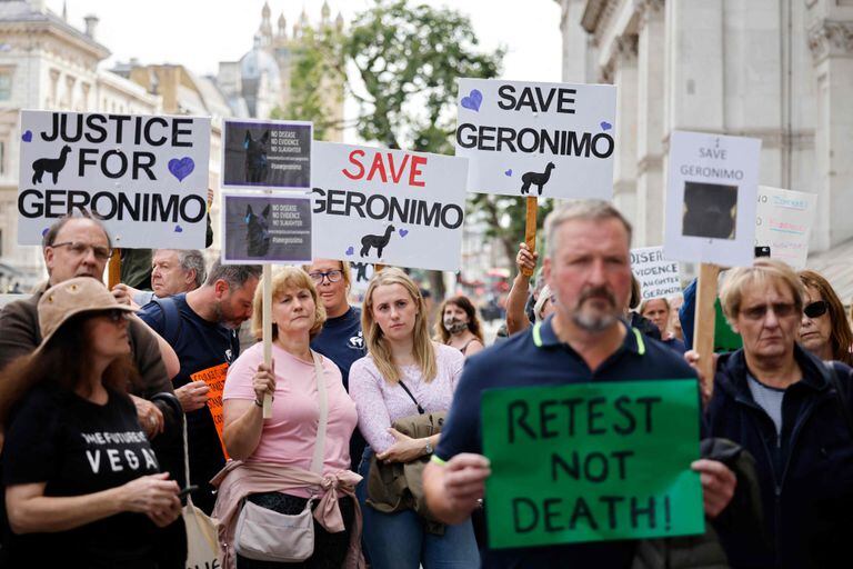 En esta foto de archivo tomada el 9 de agosto de 2021, los manifestantes sostienen pancartas mientras se reúnen frente a Downing Street para protestar contra la decisión de sacrificar a Geronimo