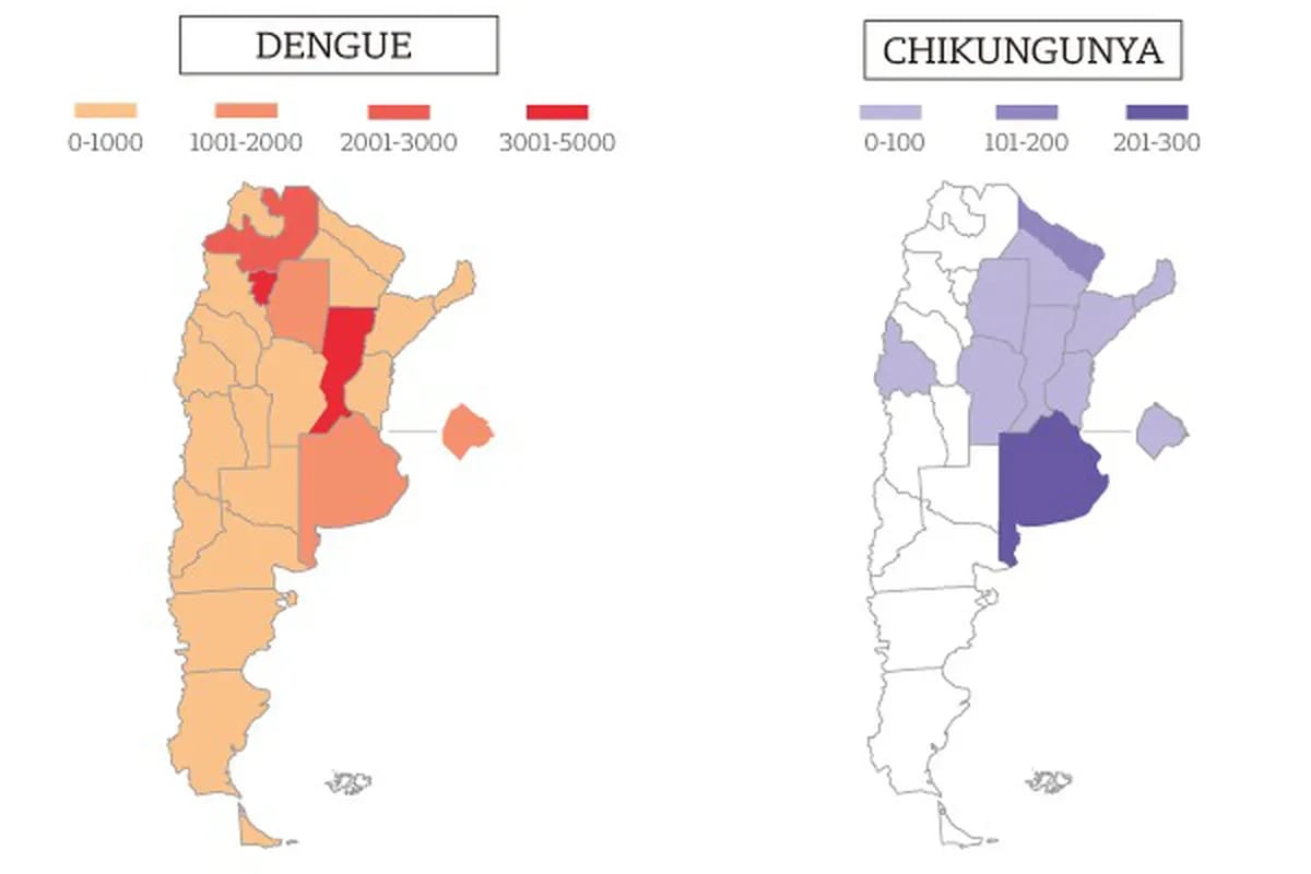 El mapa argentino del dengue. Los distritos más complicados, el