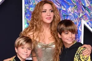 Shakira fue al show de Alejandro Sanz con sus hijos y el parecido de Milan con un músico argentino sorprendió a todos
