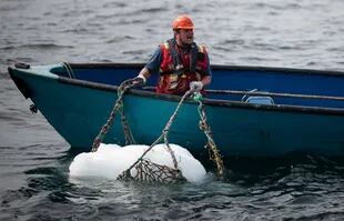 Blair Baker, grita mientras sostiene una red con un pedazo de iceberg que acaba de atrapar en Bonavista Bay el 29 de junio de 2019 en Terranova, Canadá
