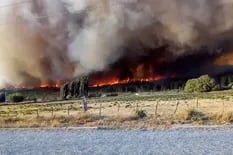 Incendios en Chubut y Río Negro: cientos de evacuados y heridos