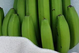 El consumo per cápita anual de banana en la Argentina es de 12,2 kilos, mientras que en el mundo es de 8,5