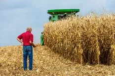 Mercado de granos: una vuelta a los fundamentos
